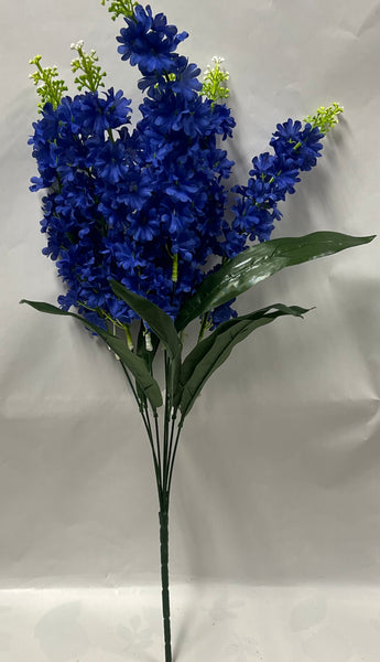 Delphinium Bush