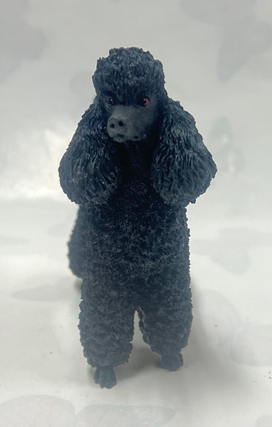 Country Artists -Poodle -Black
