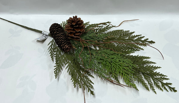 Cedar/ Cone Spray