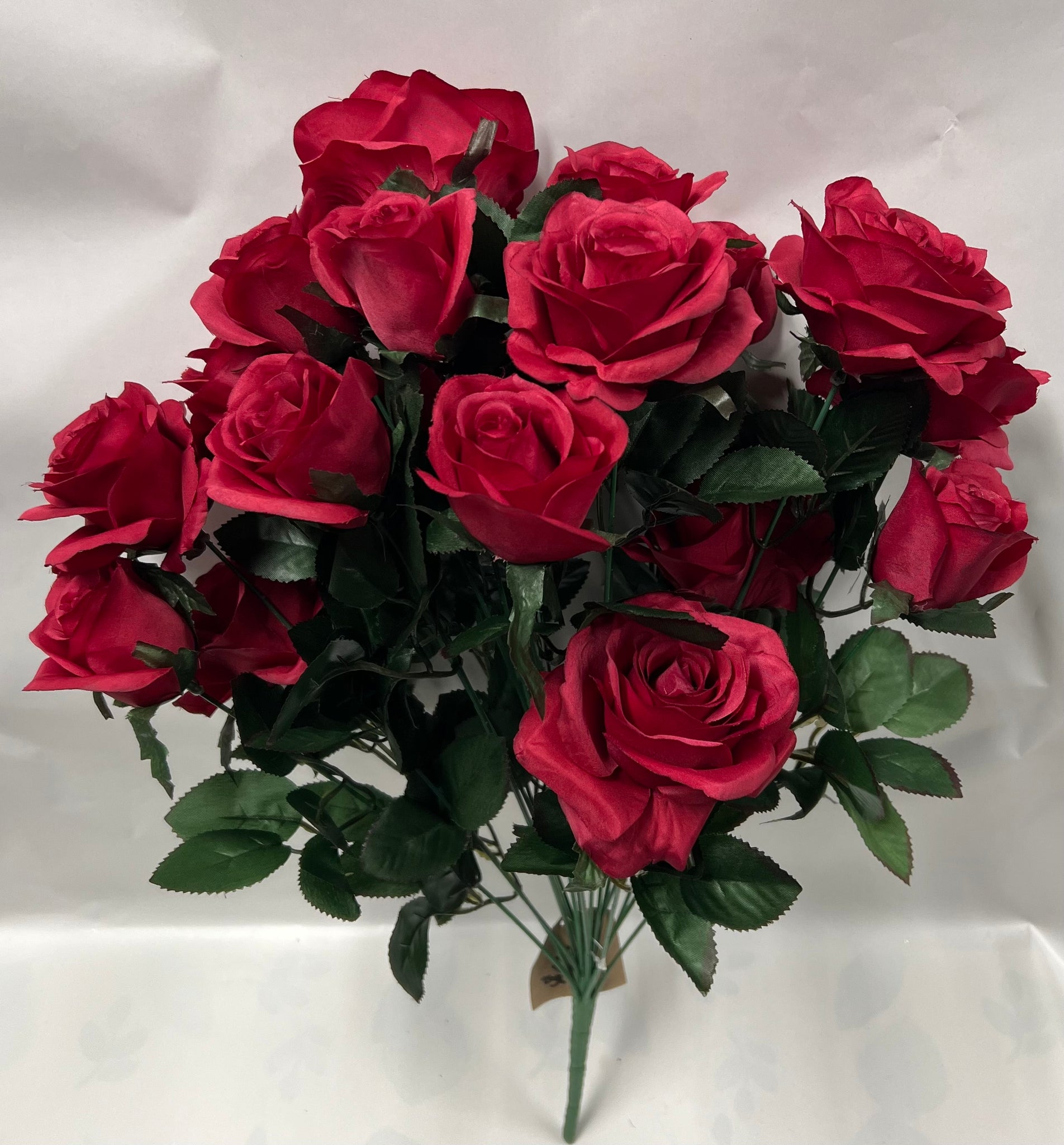 Grandiflora Rose Bush -Burgundy