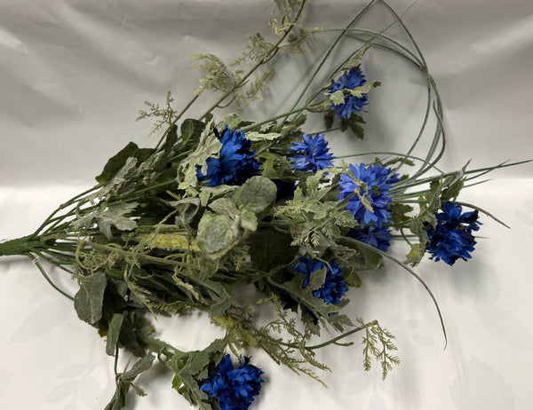 Cornflower (Bachelor Buttons) Bush -Blue