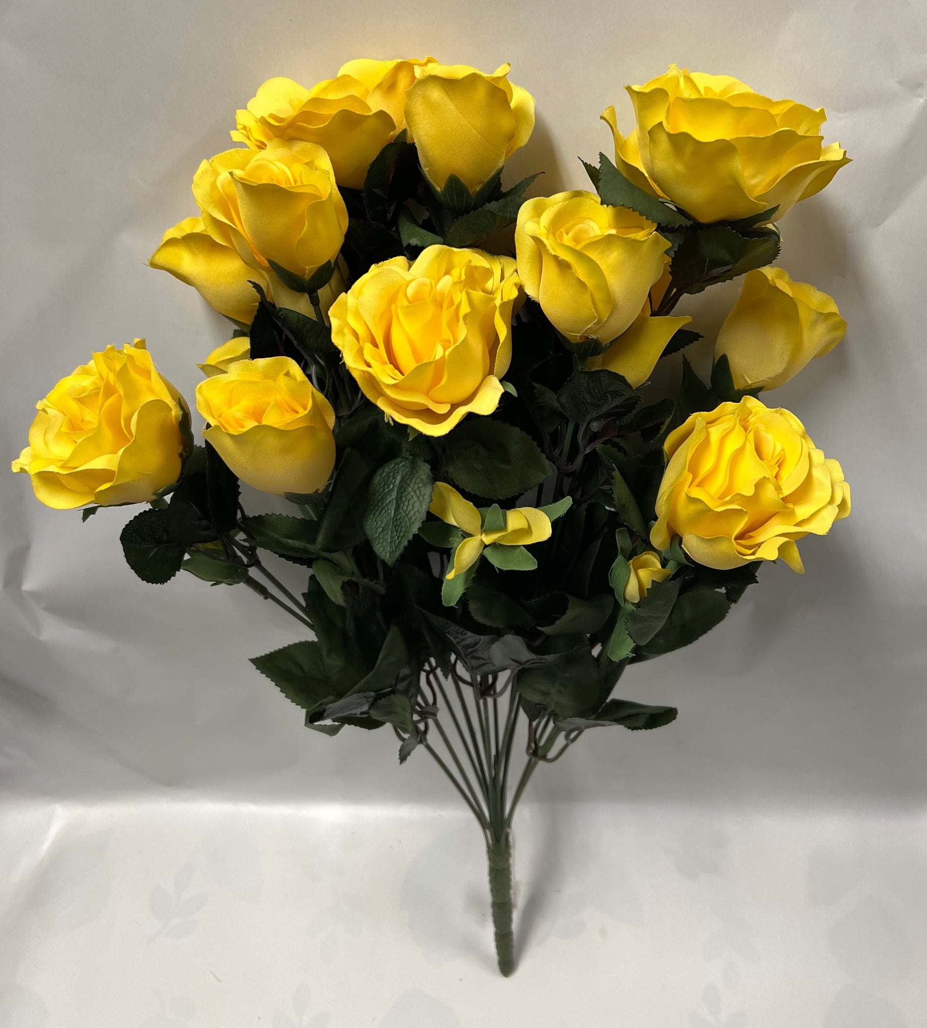 Rose Bush -Yellow