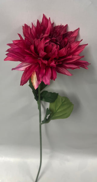 Garden Dahlia Spray -Beauty
