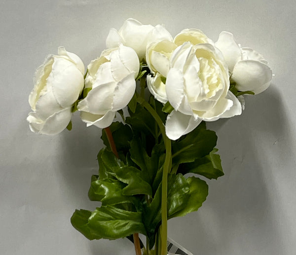 Ranunculus Bundle -Cream