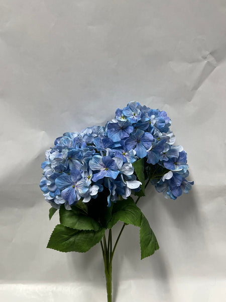 Hydrangea Bush- Blue