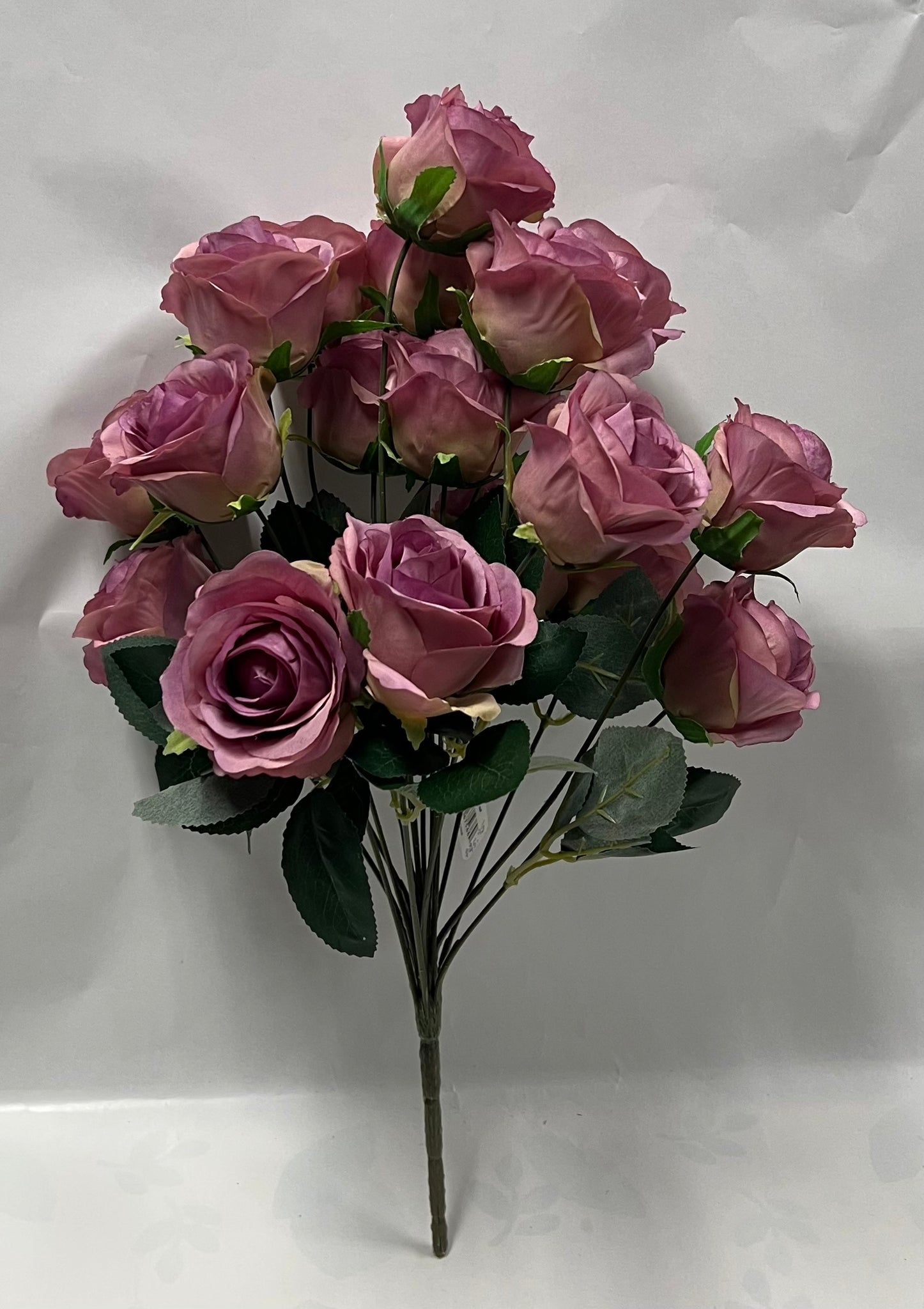 Rose Bush -Lavender