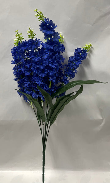 Delphinium Bush
