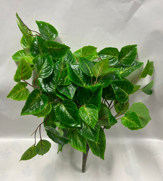 Coleus Bush -UV Protected