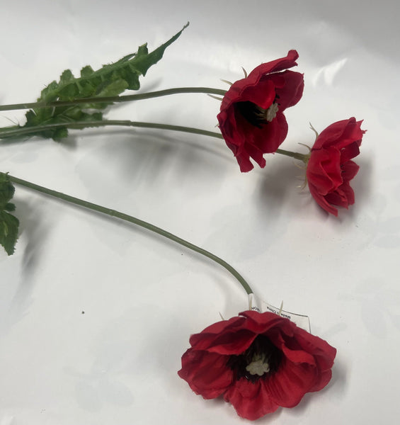 Japanese Anemone -Red