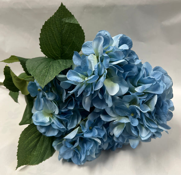 Hydrangea Bush-Blue