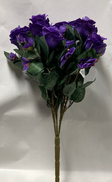 Rose Bush -Dark Purple