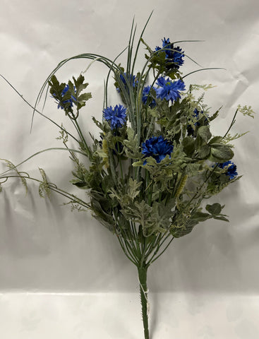 Cornflower (Bachelor Buttons) Bush -Blue