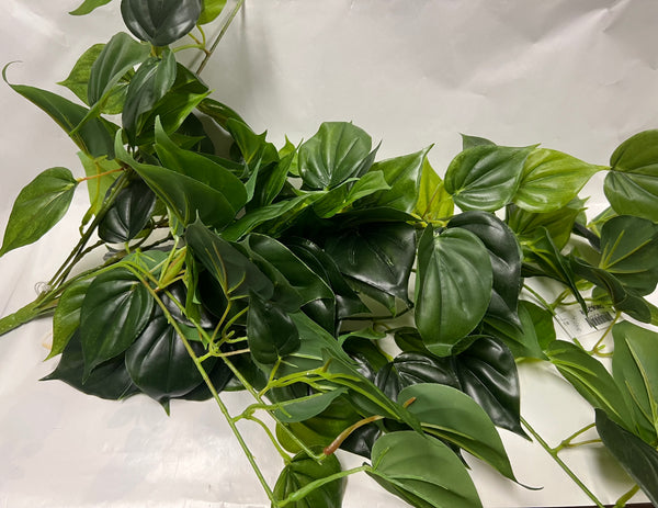 UV Protected Philo Bush