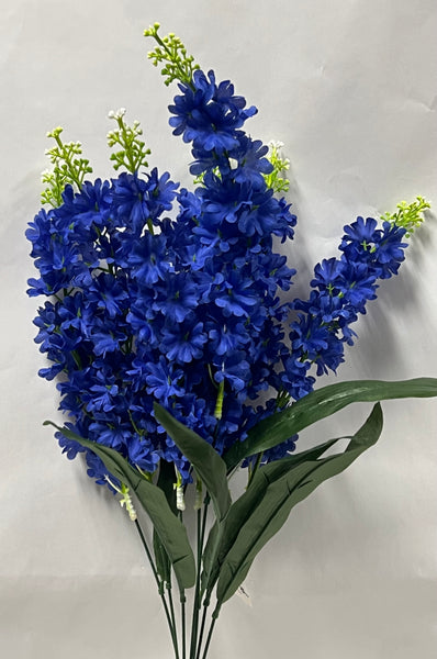 Delphinium Bush