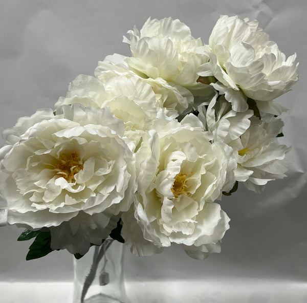 Peony Bush-Cream