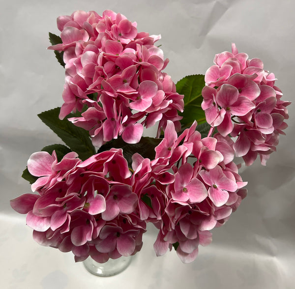 Hydrangea Bush- Pink