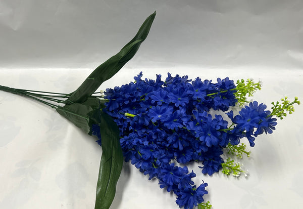 Delphinium Bush