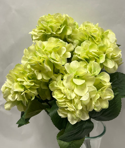 Hydrangea Bush- Light Green