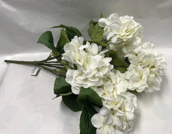 Hydrangea Bush- White