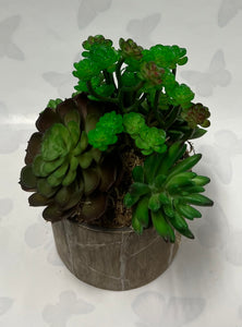 Small Artificial Succulent Arrangement- Wooden Container