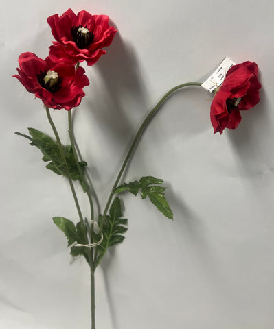 Japanese Anemone -Red