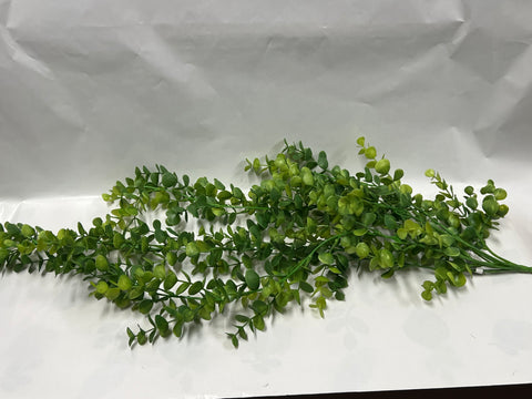 Boxwood Hanging Bush-Green