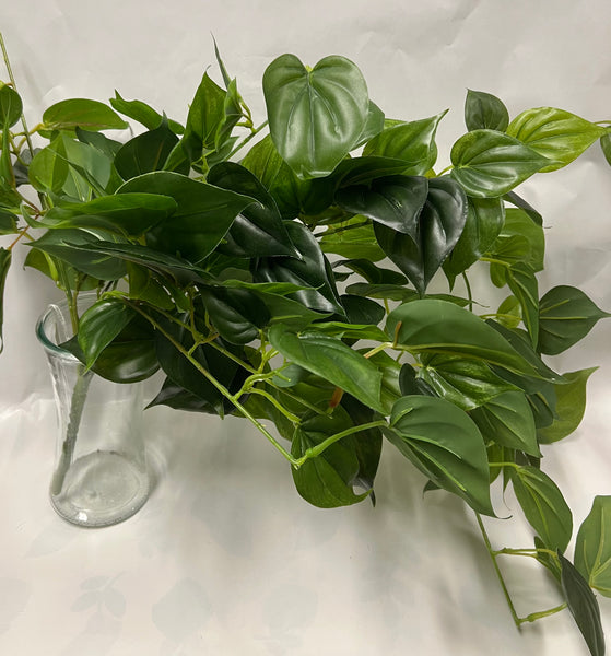 UV Protected Philo Bush