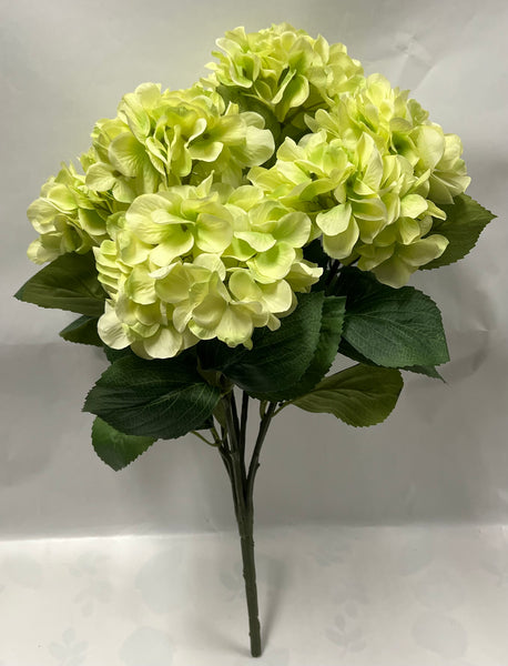 Hydrangea Bush- Light Green