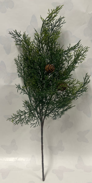 Atlantic White Cedar Pick