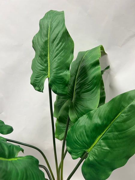 Calla Lily Leaf Bush -Green