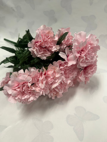 Carnation Bush -Pink