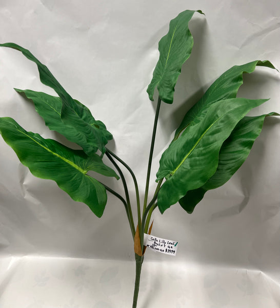 Calla Lily Leaf Bush -Green