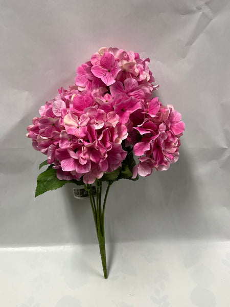 Hydrangea Bush- Bright Pink