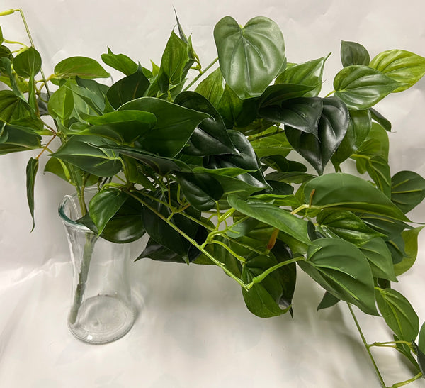 UV Protected Philo Bush