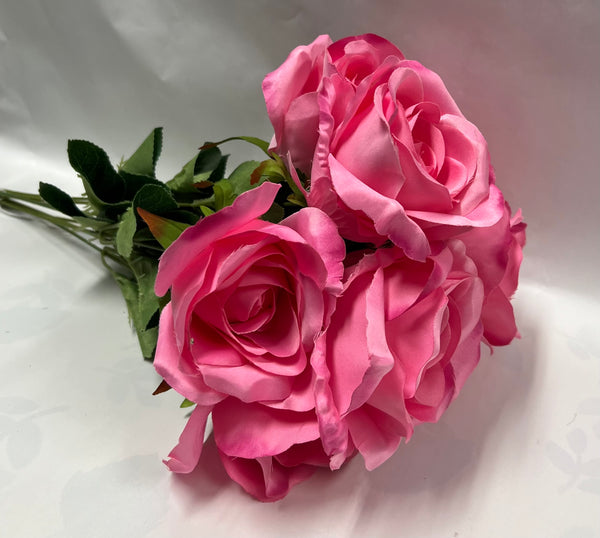 Rose Bush -Bright Pink