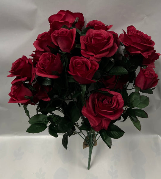 Grandiflora Rose Bush -Burgundy