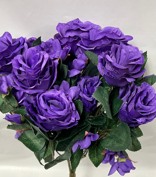 Rose Bush -Dark Purple