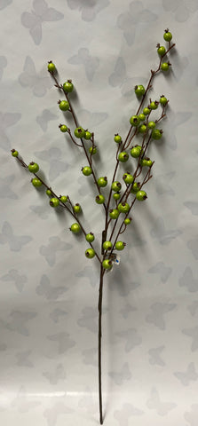 Mini Pomegranate Berry Spray -Lime Green