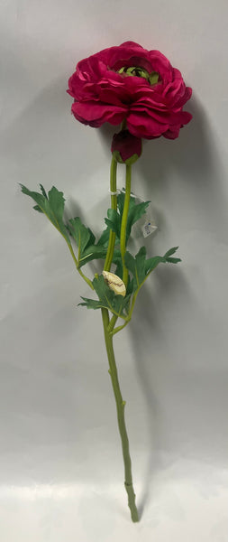 Ranunculus Spray -Wine