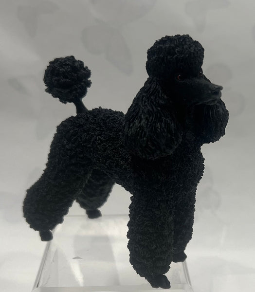 Country Artists -Poodle -Black