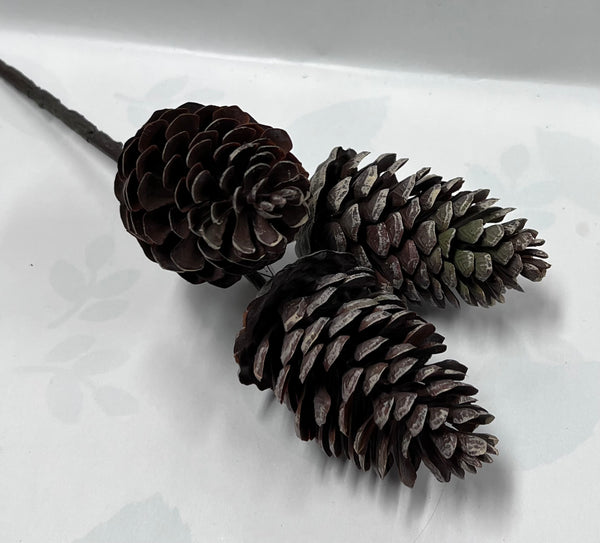 Plastic Pine Cone Pick