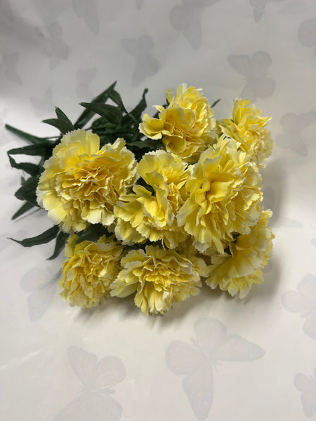 Carnation Bush -Yellow