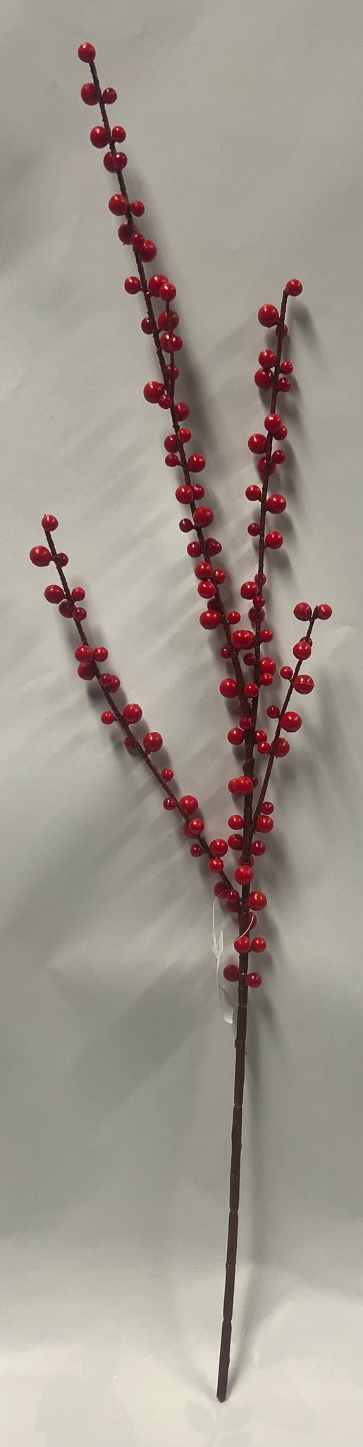 Red Plastic Berry Spray