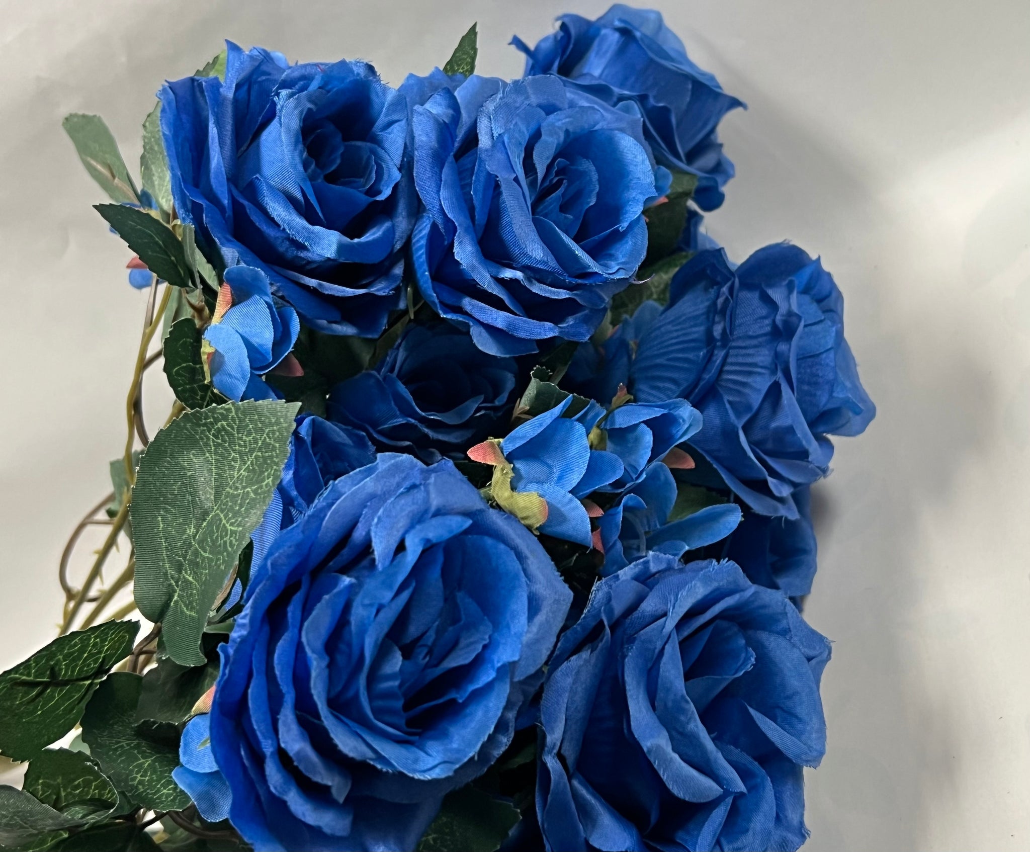 Rose Bush -Royal Blue