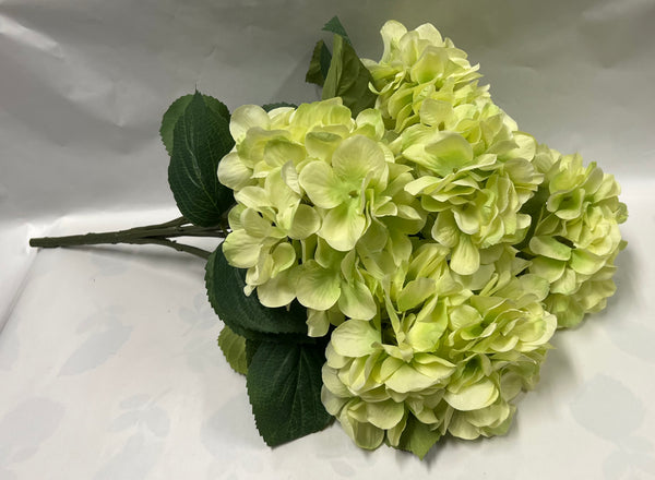 Hydrangea Bush- Light Green