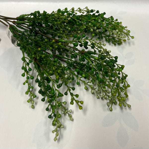 Eucalyptus Seedpod Bush