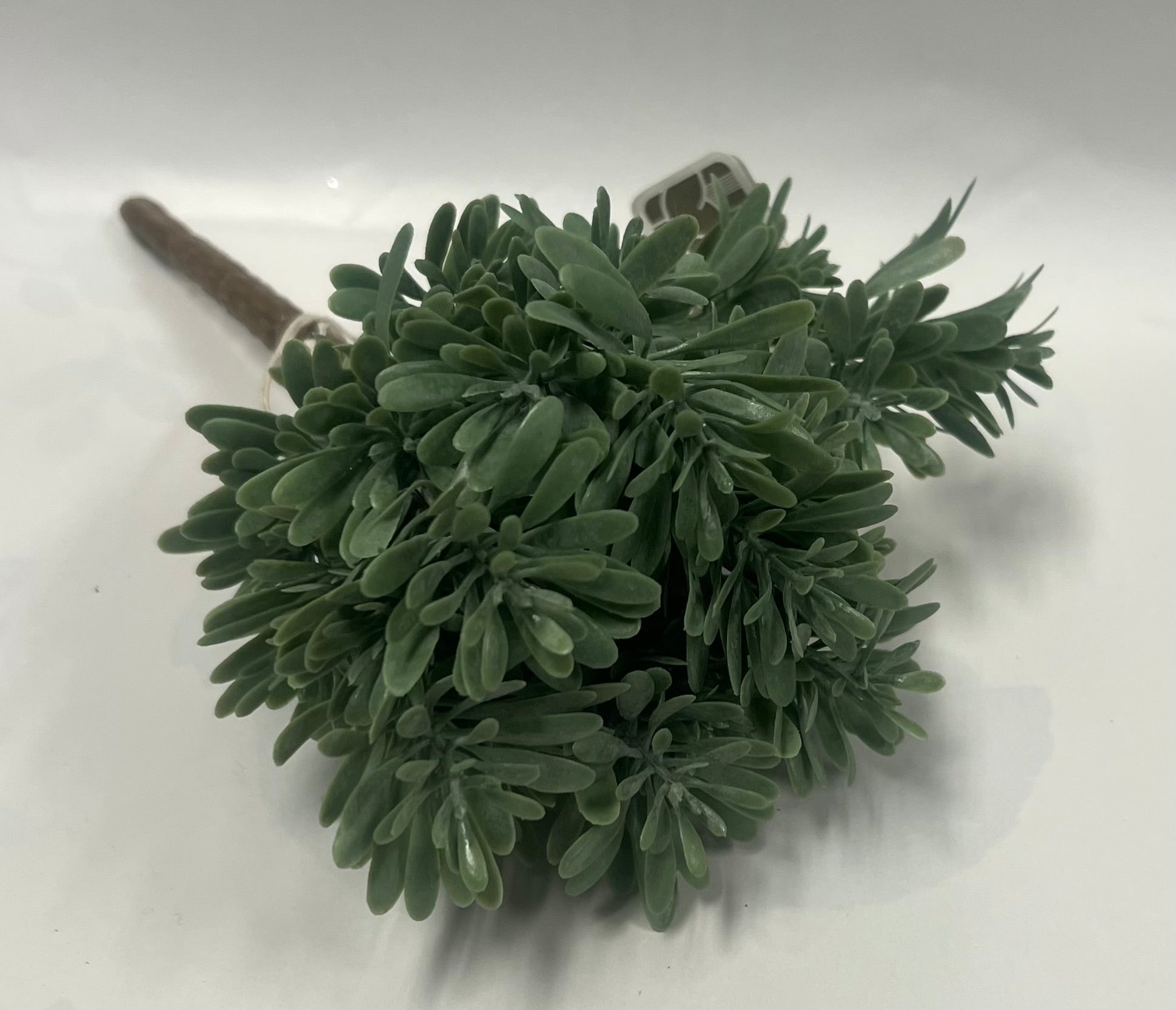 Plastic Succulent Grass Bush