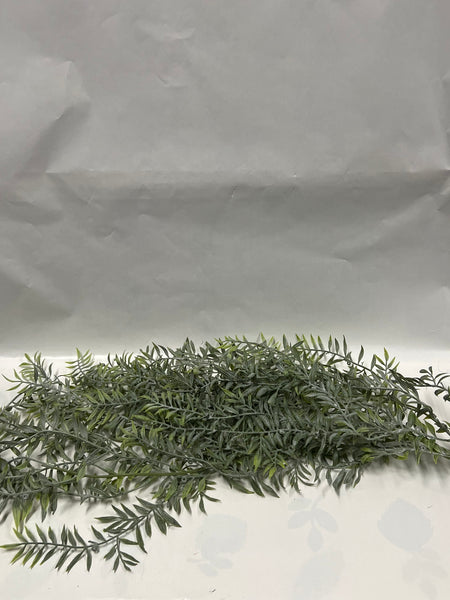 Hanging greenery -Bamboo Bush