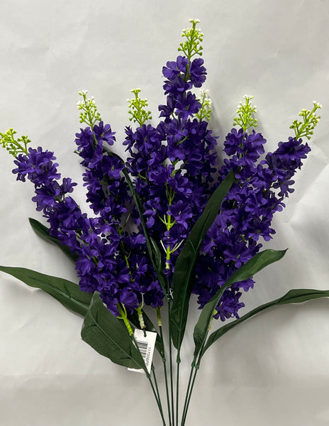 Delphinium Bush