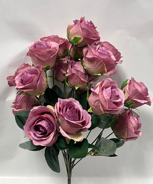 Rose Bush -Lavender